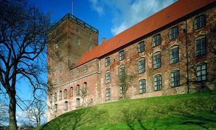 Koldinghus Den Gamle Kongeborg